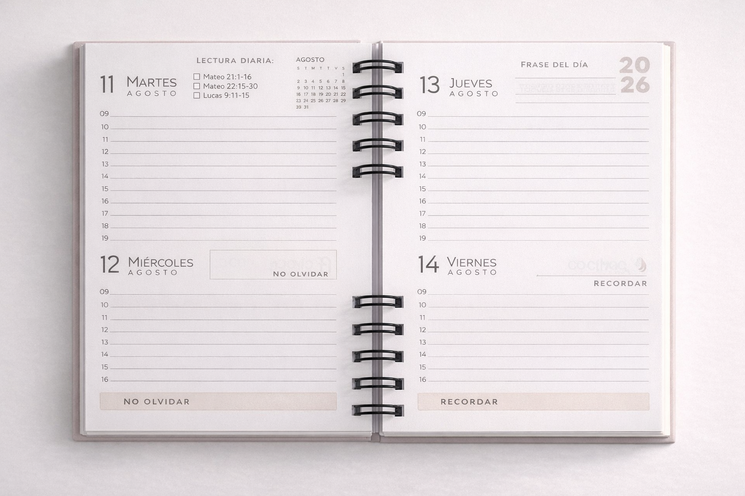 ChatGPT Image 24 dic 2025, 11_46_37