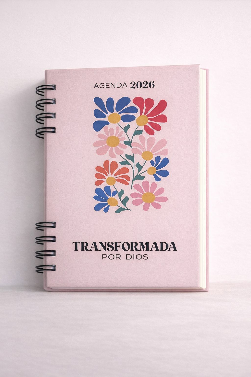 ChatGPT Image 24 dic 2025, 11_46_41