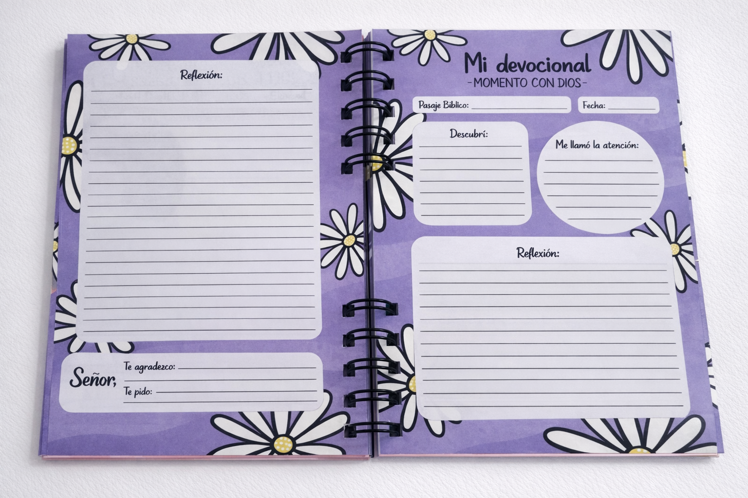 ChatGPT Image 25 dic 2025, 19_51_21