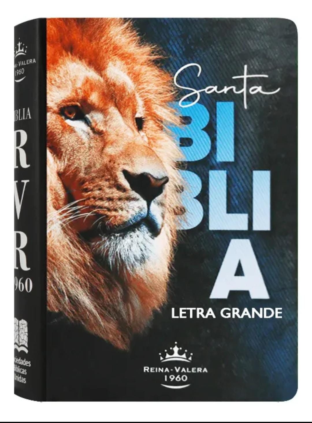 WhatsApp Image 2026-01-07 at 17.23.10